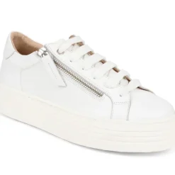 Women Jones Bootmaker Amaliada Leather Platform Trainers -